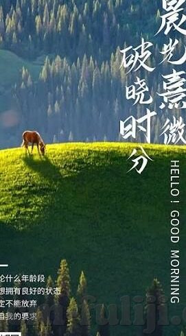 伦理片美亚影院-伦理片的光影世界，美亚影院的独特魅力