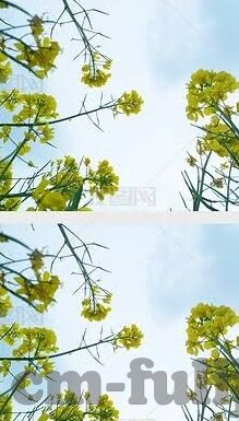 麻豆剧情app-在数字化的时代寻找独特观影体验——浅评麻豆剧情app