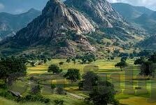 糖心app软件下载安-糖心app，开启智能生活新篇章